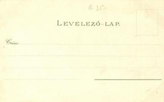 Rozsnyó, Evangélikus leányiskola, püspöki székház, vasas fürdő, Krasznahorka; kiadja Falvi Jenő / gi...