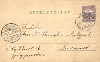 Ungvár, Főgimnázium, székesegyház ; Schwidernoch Károly / grammar school, cathedral, floral litho  (...