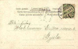 Budapest, virágos képeslap