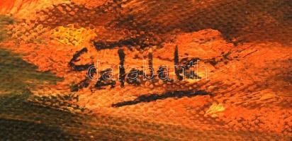 Sztelek jelzéssel: Alpesi táj. Olaj, vászon, keretben, 50×70 cm