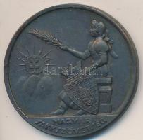 1943. "Magyar Sakkszövetség / Cégliga Csapatbajnokság 193. VI" Br díjérem (40mm) T:2