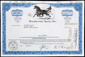 Amerikai Egyesült Államok/Delaware 1978. "Brandywine Sports, Inc." részvényelismervénye 10...