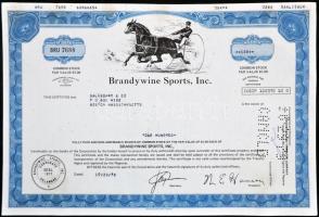 Amerikai Egyesült Államok/Delaware 1978. "Brandywine Sports, Inc." részvényelismervénye 10...