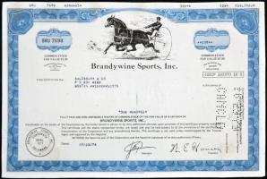Amerikai Egyesült Államok/Delaware 1978. "Brandywine Sports, Inc." részvényelismervénye 10...