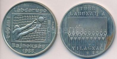 1983. 100Ft "FAO" + 1988. 100Ft "Labdarúgó EB / Kapus" T:2(PP),BU