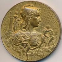 Franciaország 1901. "Világkiállítás Nice" fém emlékérem. Szign.: Adolphe Rivet (51mm) T:2,2- France 1901. "Exposition Universelle Nice" metal medallion. Sign.: Adolphe Rivet (51mm) C:XF,VF