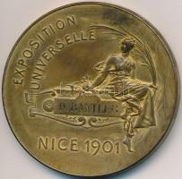 Franciaország 1901. "Világkiállítás Nice" fém emlékérem. Szign.: Adolphe Rivet (51mm) T:2,...