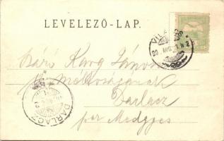 Borosjenő, Ineu; Rákóczi-vár / castle