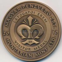 2010. "Magyar Pénzverő Zrt. Látogatói Érem / Elődeink Gyulafehérvár" Br emlékérem (42,5mm)...
