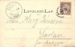 Borosjenő, Városháza; Honisch udvari fényképész felvétele / town hall (EB)