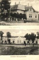 Füzesgyarmat, Amsel Bernát, Feig Salamon és Colostein üzlete, Hentes üzlet, villa (EK)