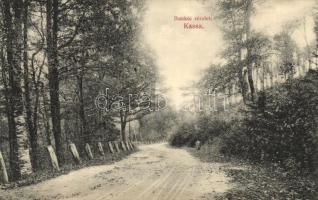 Kassa, Bankói részlet, kiadja Nyulászi Béla / forest road (EK)