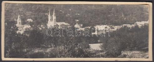 cca 1910 Felsőbánya, Erdély, Foto Vagányi, hidegpecséttel jelzett, feliratozva, 14x5 cm