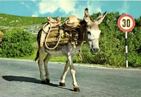 48 db MODERN, vegyes képeslapok, néhány városképes lap, több üdvözlőlap, benne 2 db régi Léva-bevonulás városképes lap, 'vissza' bélyegzéssel / 48 modern mixed postcards, greeting cards, including 2 old postcards from Léva, So. Stpl