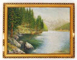 Katona jelzéssel: Hegyvidéki tó partján, olaj, vászon, fa keretben, 79×59,5 cm