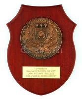 Magyar Honvédség Szárazföldi Parancsnokság Székesfehérvár bronz emlékplakett Douglas W. Daniel tábornok részére fa talapzaton 20 cm