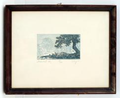 Varga Bencsik József (1944-): Dunántúli táj. Rézkarc 36/100, papír, jelzett, üvegezett keretben, 8×13 cm
