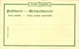 Kamerun, Gouvernements-Gebäude, von Puttkamer / German colonial postcard, litho