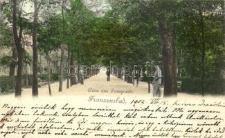 Frantiskovy Lazne, Franzensbad; park (EK)