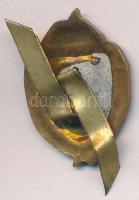 DN. MKKG jelzésű zománcozott sapkajelvény T:2