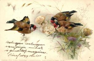 1899 Birds with flowers, T. S. N. Aquarell-Postkarte Serie I No. 70. litho (EK)