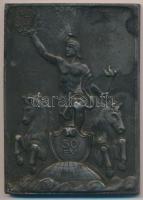 Martinelli Jenő (1886-1949) 1945. "UTE (Újpesti Torna Egylet) 60 év" fém emlékplakett (74x54mm) T:2 HPII 1783.