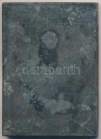 Martinelli Jenő (1886-1949) 1945. "UTE (Újpesti Torna Egylet) 60 év" fém emlékplakett (74x...