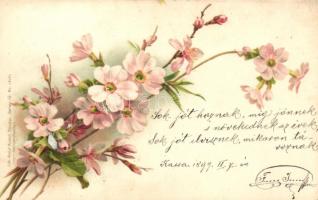 1899 Flowers, Gebrüder Obpacher Serie 35. No. 18182. litho (EK)