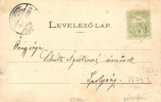 Balassagyarmat, Megyeház; Wertheimer Zs. kiadása