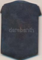 1909. "Testvériség Sport Egyesület" fém plakett (46mm) T:2