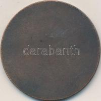 1965. "50 éves a Fővárosi Autóbuszüzem" bronzírozott Al emlékérem (50mm) T:2