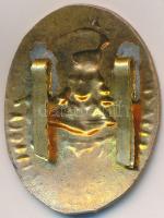 ~1930-1940. "II. Rákóczi Ferenc Felső Kereskedelmi Iskola" zománcozott fém jelvény (41x31m...