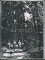 cca 1935 Reich Péter Cornel: Séta az erdőben, jelzetlen vintage fotóművészeti alkotás a szerző hagyatékából, 24x18 cm