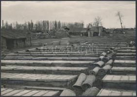 1933 Kerny István (1879-1963): Budapest, Zugló, melegágyak, feliratozott, pecséttel jelzett vintage fotó, 22x15 cm