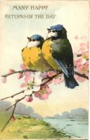 Birds, litho s: Klein