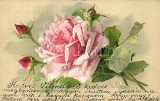 Rose litho s: C. Klein (EK)