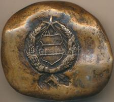 ~1960-1970. Szövetségi bronz plakett a magyar, szovjet, bolgár, csehszlovák, lengyel, román, kelet-n...