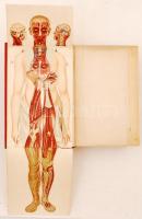 Bilz, F. E. - Az új természetes gyógymód. I-II. kötet. A természetszerű gyógyeljárás és egészségápol...