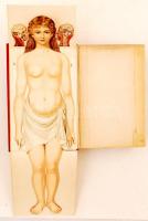 Bilz, F. E. - Az új természetes gyógymód. I-II. kötet. A természetszerű gyógyeljárás és egészségápol...