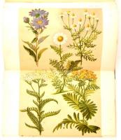 ZELENYÁK János: A gyógynövények hatása és használata.
Budapest, 1908. Stephaneum. Viseltes, foltos f...