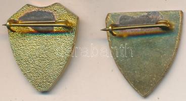 DN "Berzsenyi Dániel Evangélikus Líceum" zománcozott fém jelvény + "DC" zománcoz...