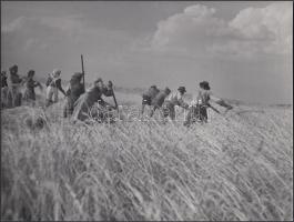 1937 Járai Rudolf (1913-1993): Aratás Kunszentmárton határában, aláírt, a szerző által feliratozott vintage fotóművészeti alkotás, 18x24 cm