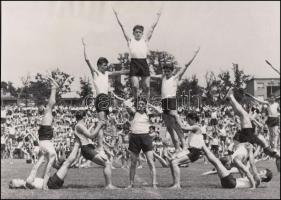 cca 1950 Sportünnepség, tornászok gúlaépítő gyakorlata, jelzetlen fénykép Tiszavölgyi József fotóriporter hagyatékából, 21x30 cm