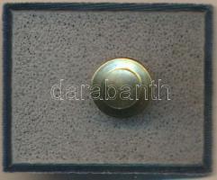 Németország DN "Müncheni Repülőtér - Airbus A340" fém jelvény T:2
Germany ND "Flughaf...