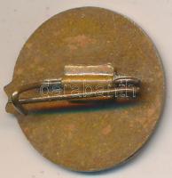 DN "Mezőgazdasági Főiskola Kaposvár - TDK." zománcozott fém jelvény T:2