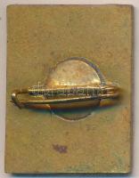 DN "Zalaegerszeg" zománcozott fém jelvény T:2-