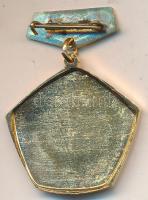 DN "Kiváló Társadalmi Munkás" aranyozott kitüntetés tokban T:1-