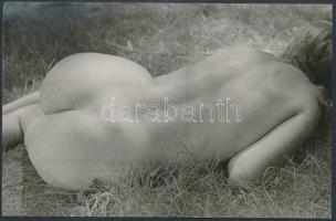 cca 1970 Természetbúvár, finoman erotikus fénykép, 9x14 cm / cca 1970 Erotic photo, 9x14 cm