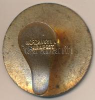 1896. "IV. Országos Ipartestületi Gyűlés" zománcozott fém jelvény, "Morzsányi Budapes...