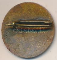 DN "Országos Erdészeti Egyesület 1866." zománcozott fém jelvény T:2